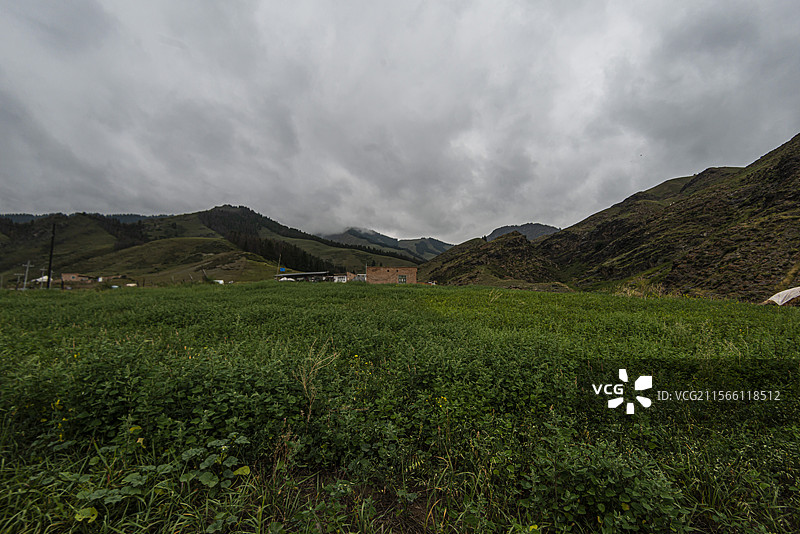 新地乡小分子画家村风光（新疆吉木萨尔县）图片素材
