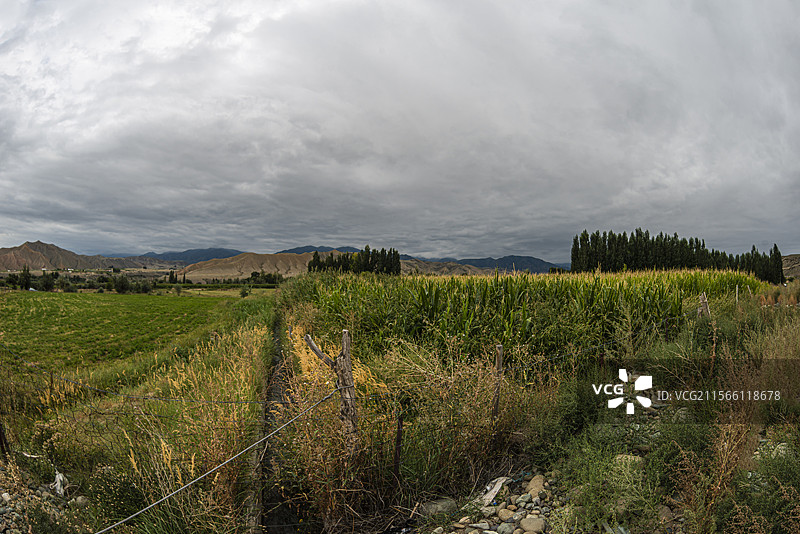 新地乡小分子画家村风光（新疆吉木萨尔县）图片素材