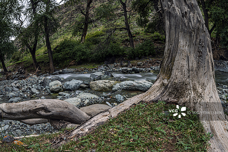 新地乡小分子画家村风光（新疆吉木萨尔县）图片素材