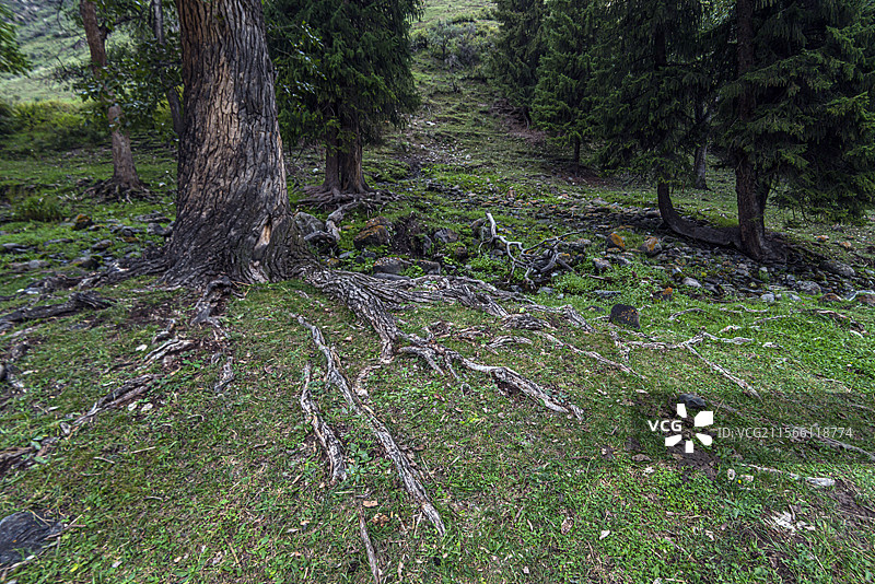 新地乡小分子画家村风光（新疆吉木萨尔县）图片素材