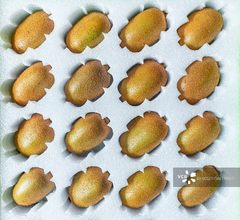 中国水果果树拍摄拍摄主题，带毛的整齐排列有序的猕猴桃水果果实，室内白昼无人图像摄影图片素材