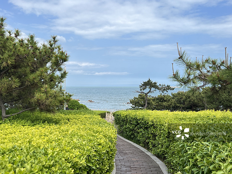 青岛通往海边的小路图片素材