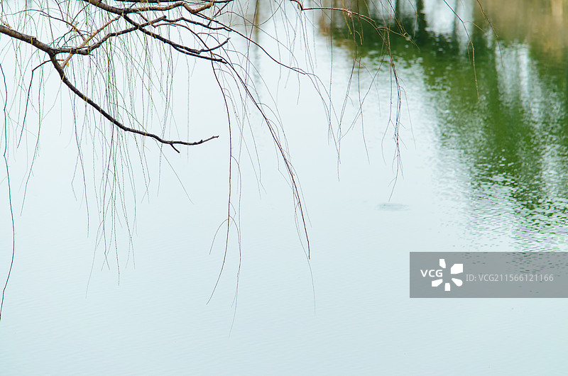 中国自然风光拍摄主题，湖水池塘岸边的秃树柳树和倒影，户外白昼无人图像摄影图片素材
