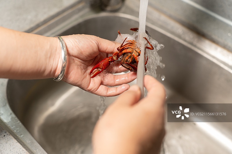 清洗小龙虾图片素材
