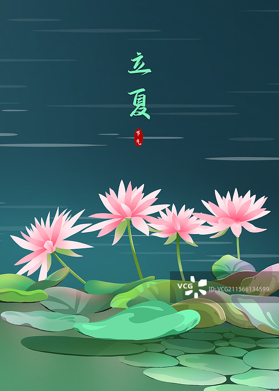 24节气-立夏-荷花荷叶-竖向海报模版图片素材