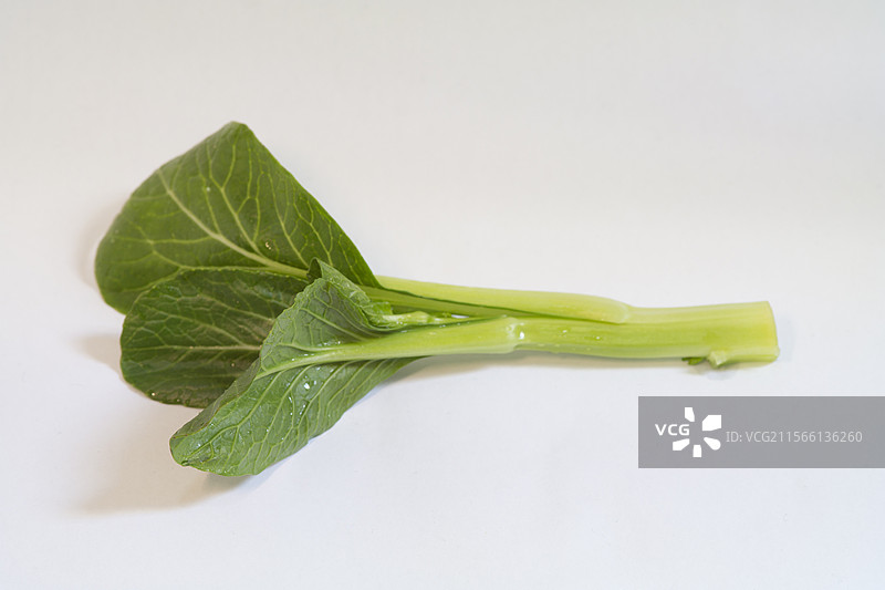 菜心图片素材