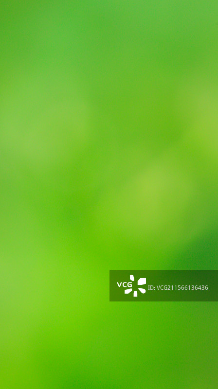 绿色抽象背景的全帧拍摄 焦外虚化图片素材