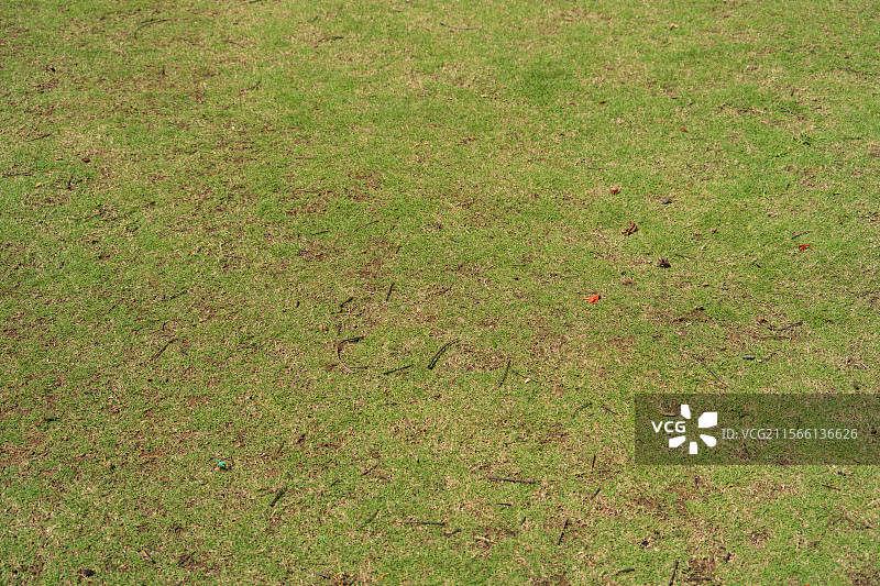 斑驳草地景象图片素材