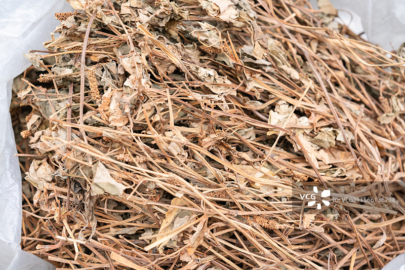 中草药图片素材