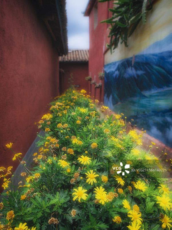 迤沙拉村内景图片素材