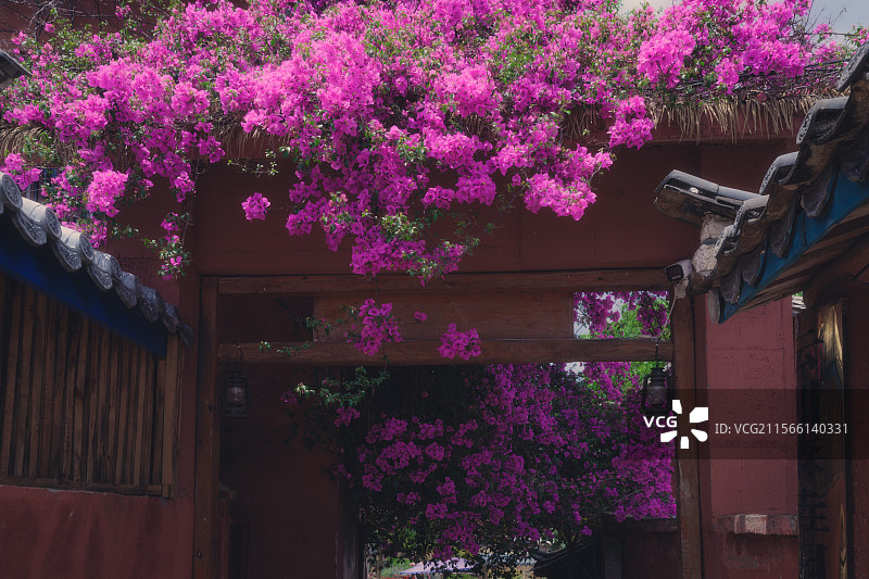 迤沙拉村内景图片素材