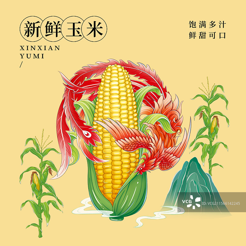 玉米和凤凰插画图片素材