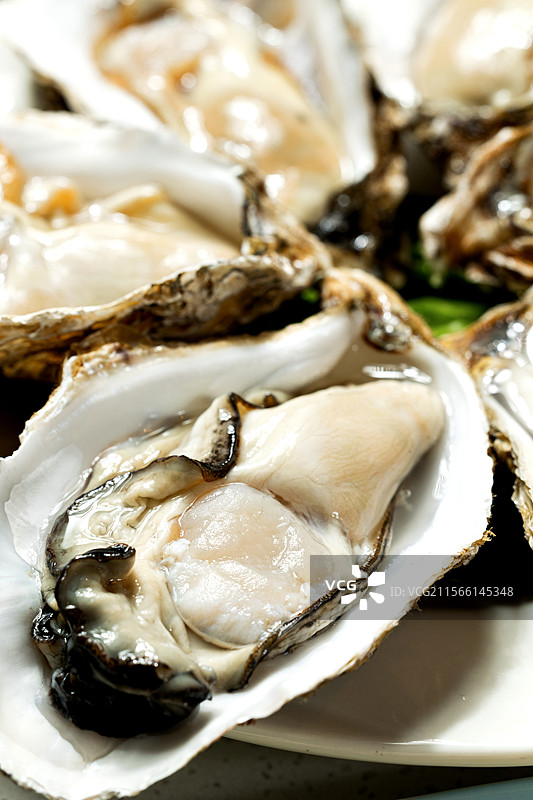 生蚝鸡煲走地鸡生蚝醉鸡煲打边炉涮火锅鸡皮鸡肉清远鸡鸡骨鲜活生蚝砂锅鸡药材鸡鸡汤炖鸡图片素材