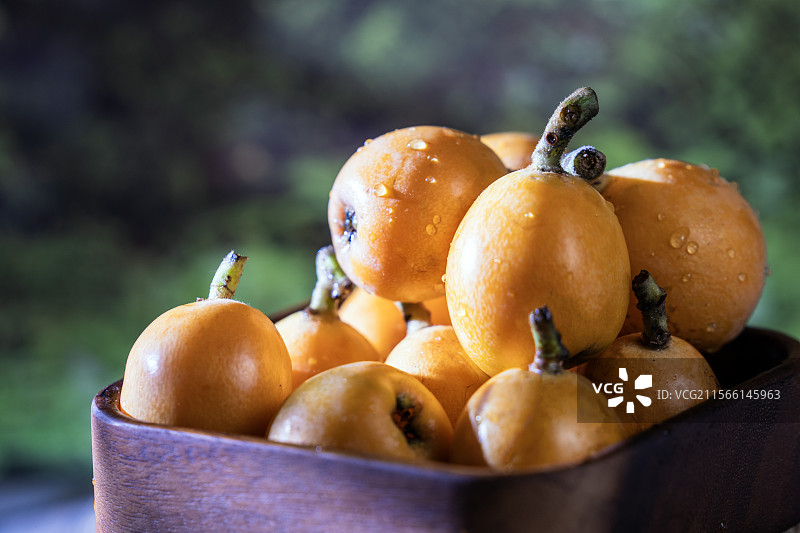 立夏成熟的有机水果枇杷特写图片素材