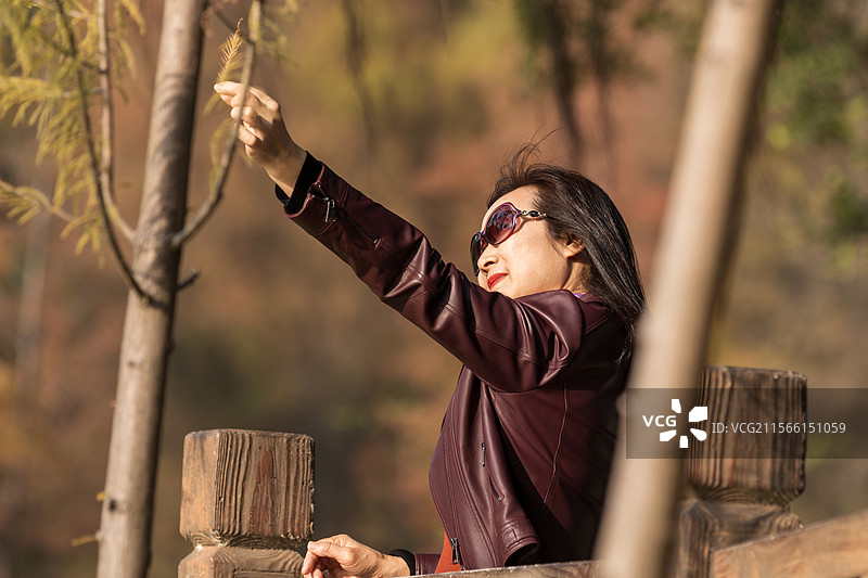 冬天公园里漂亮的时尚中年女性图片素材