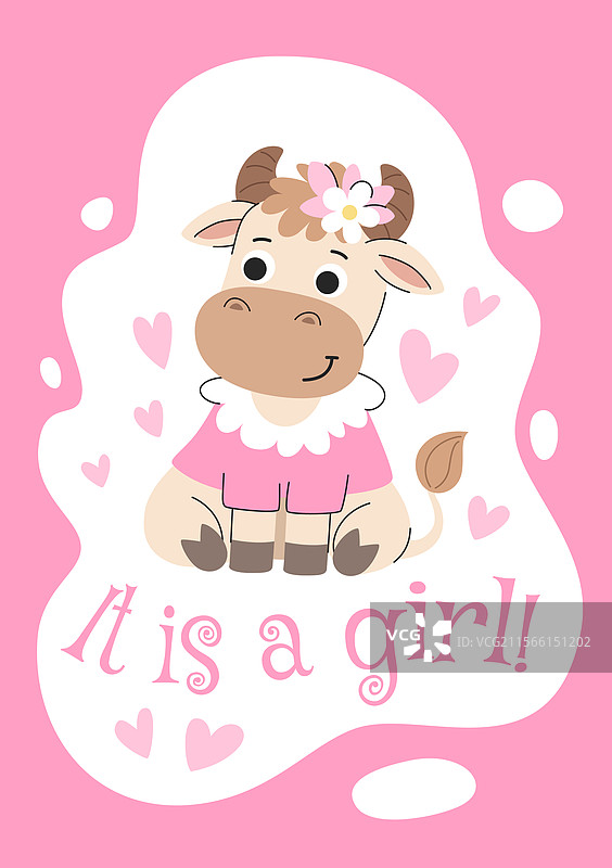 女孩出生公告贺卡图片素材