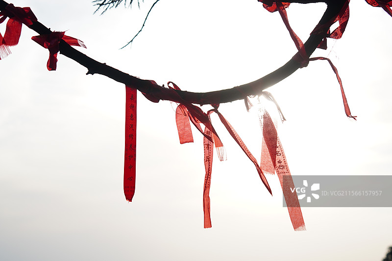 阳光下的祈福带图片素材