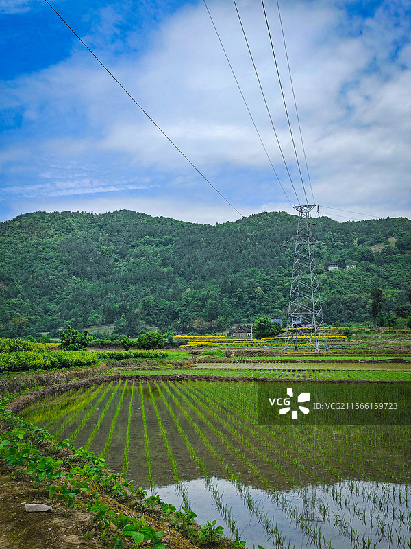 初夏田园风光拍摄于湖北省恩施市盛家坝乡图片素材