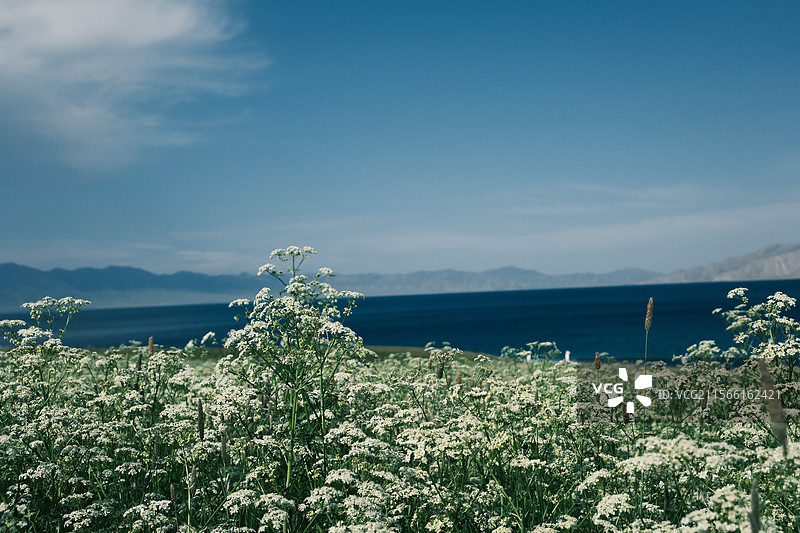 新疆赛里木湖图片素材