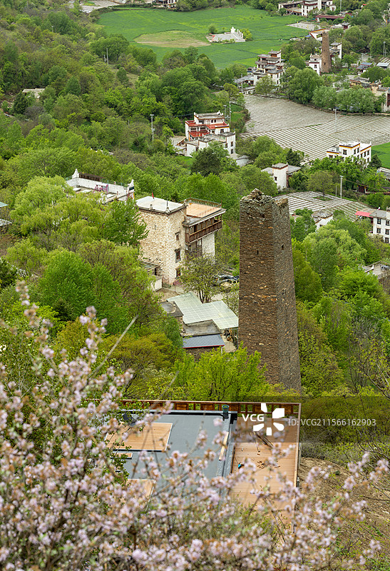 满是绿色的藏族寨子图片素材