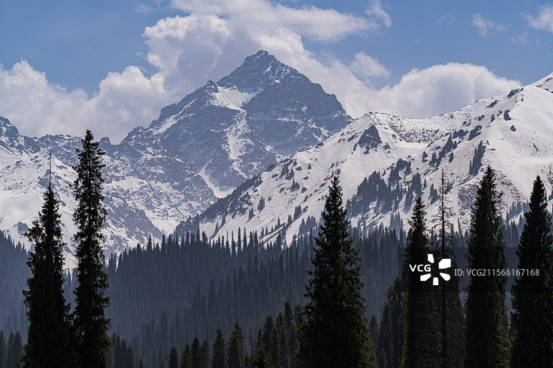 新疆库尔德宁自然风景区图片素材