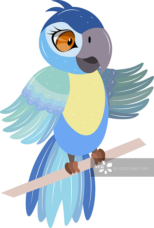可爱的动物园鸟类，栖息在树枝上的可爱鹦鹉图片素材