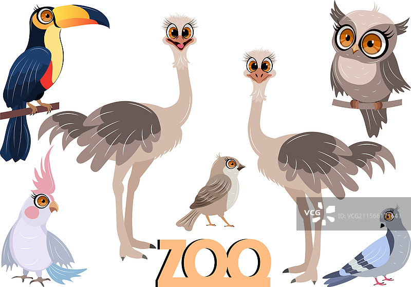 可爱的动物园鸟类，包括鸵鸟、鹦鹉和巨嘴鸟图片素材