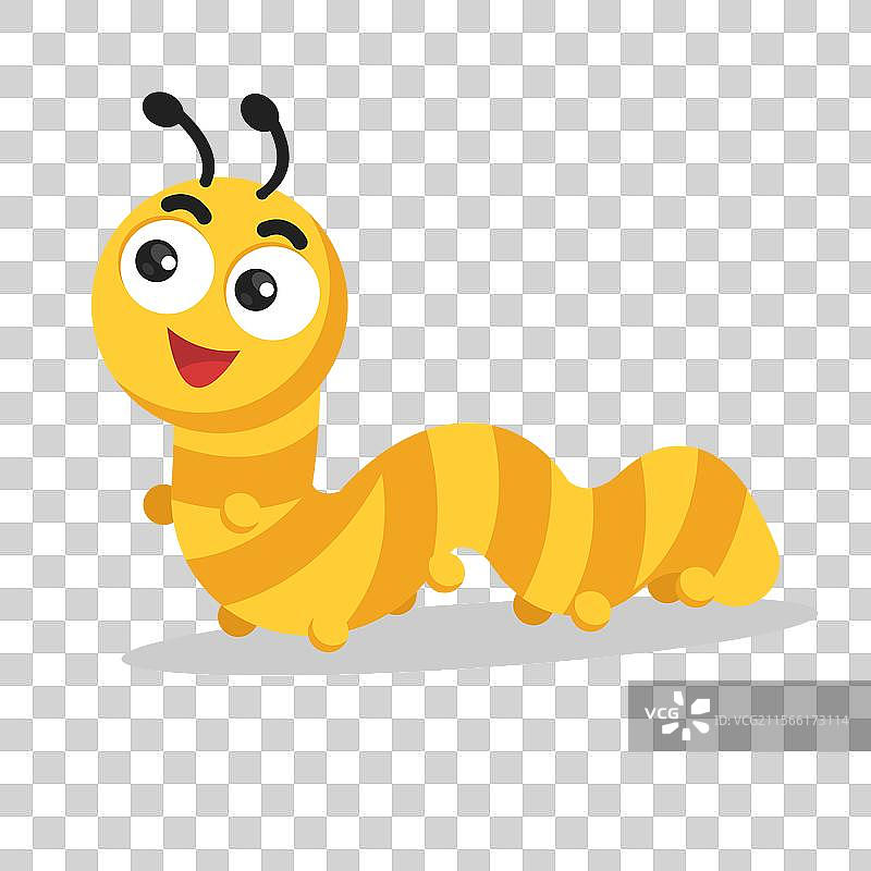 毛虫的动物图片素材