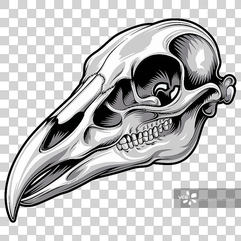 大胆的骷髅图片素材