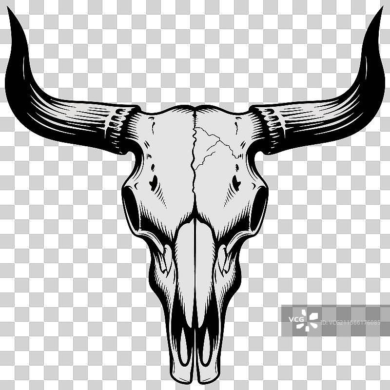 大胆的骷髅图片素材