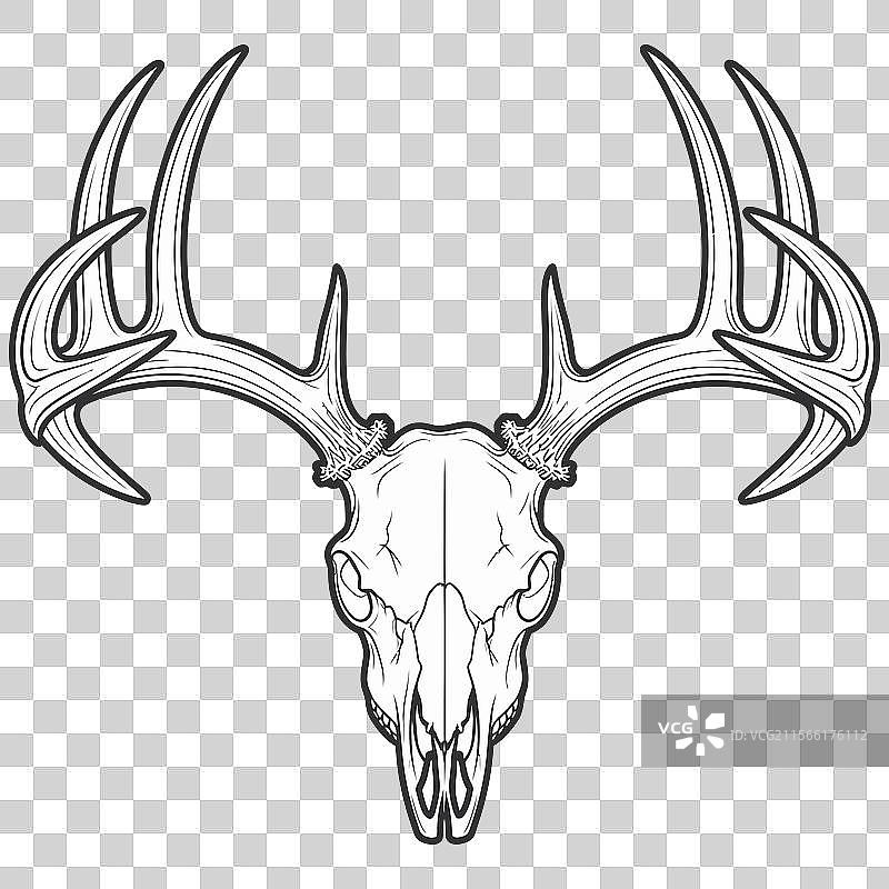 大胆的骷髅图片素材