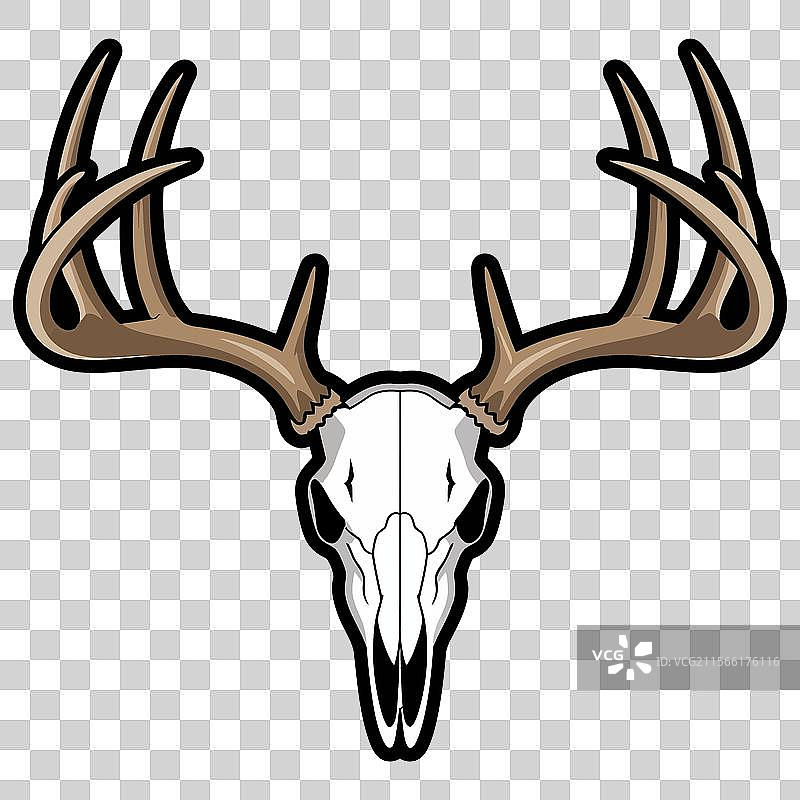 大胆的骷髅图片素材