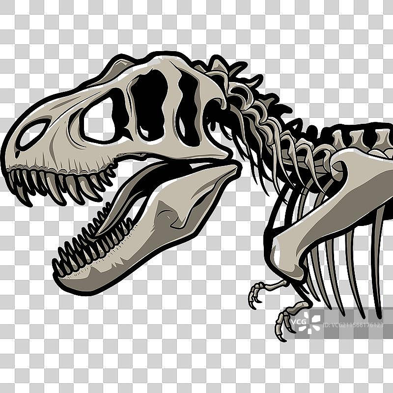 大胆的骷髅图片素材