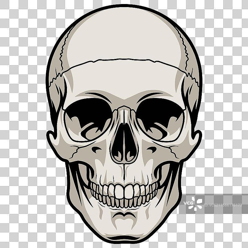 大胆的骷髅图片素材