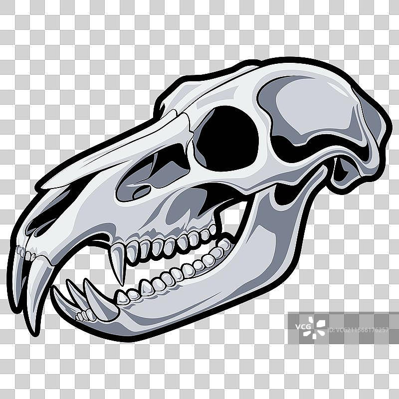 大胆的骷髅图片素材