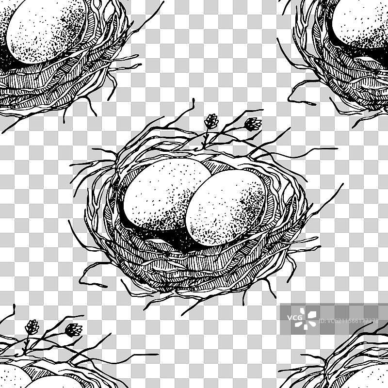 春季无缝图案，鸟巢里有蛋图片素材