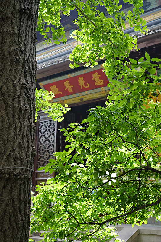 西园寺图片素材