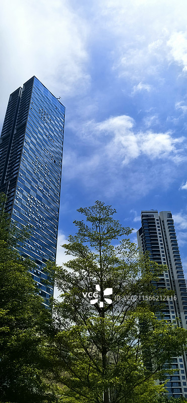蛇口自贸区云景图片素材