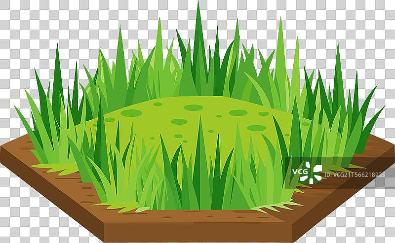 新鲜绿色的春天草地卡通图案图片素材