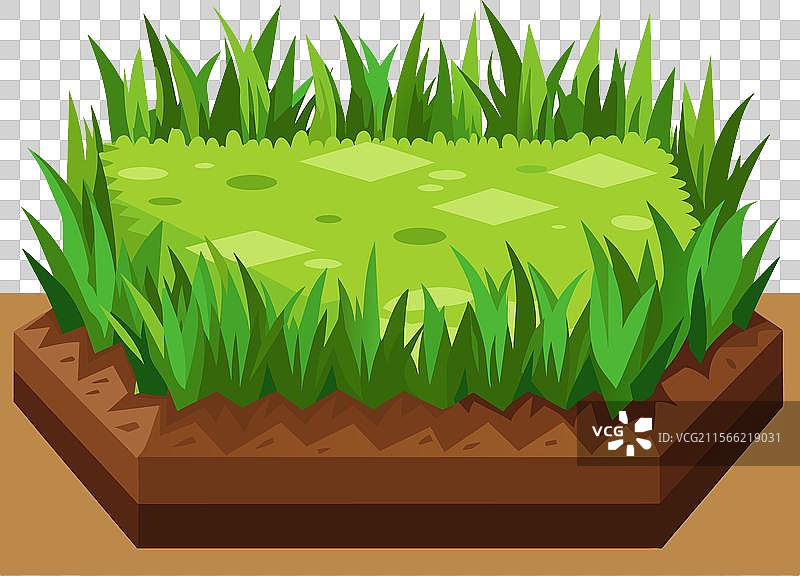 绿色草地风景背景图片素材