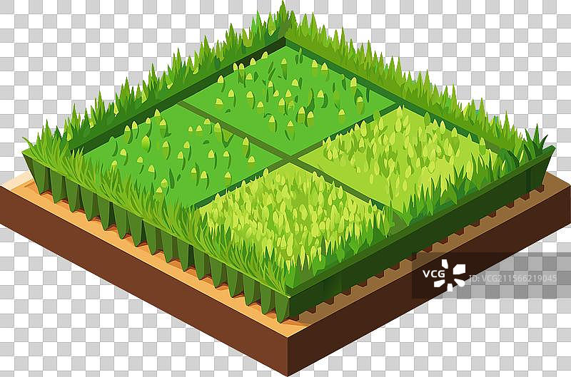 一片绿色新鲜草坪的矩形区域图片素材