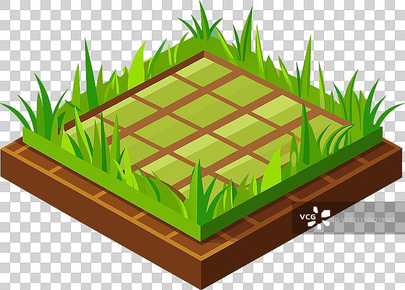 草坪边界的卡通绿草和灌木丛图片素材