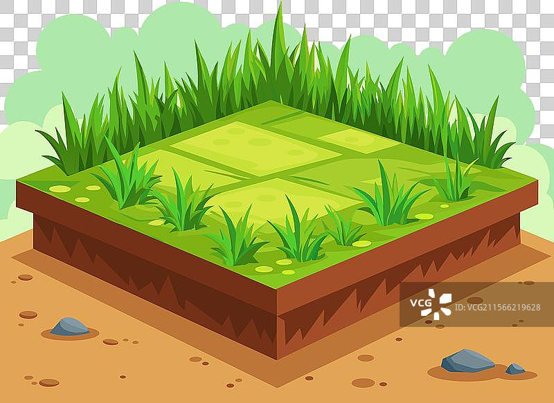 自然的绿色草坪和灌木装饰环境图片素材