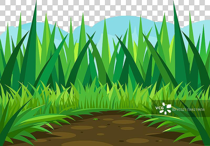 夏季绿色草地背景图片素材