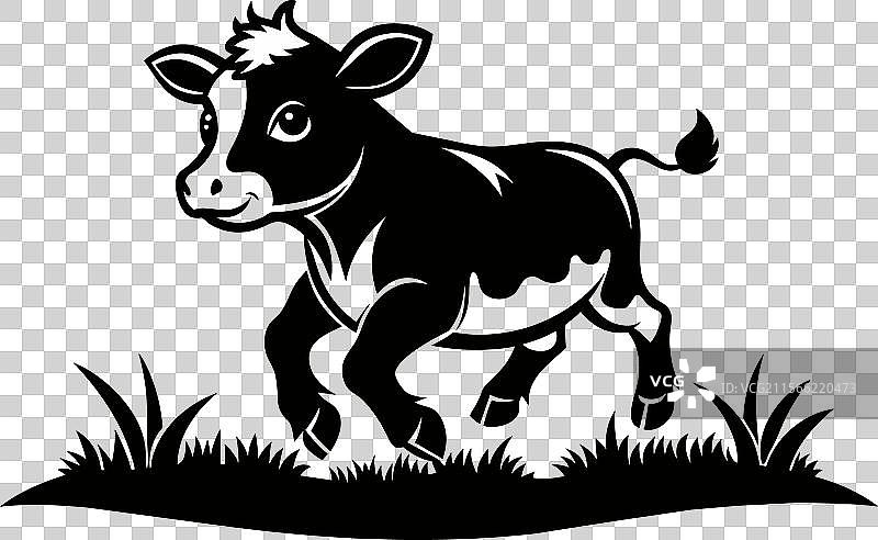 迷人的小牛可爱的牛犊奇观图片素材