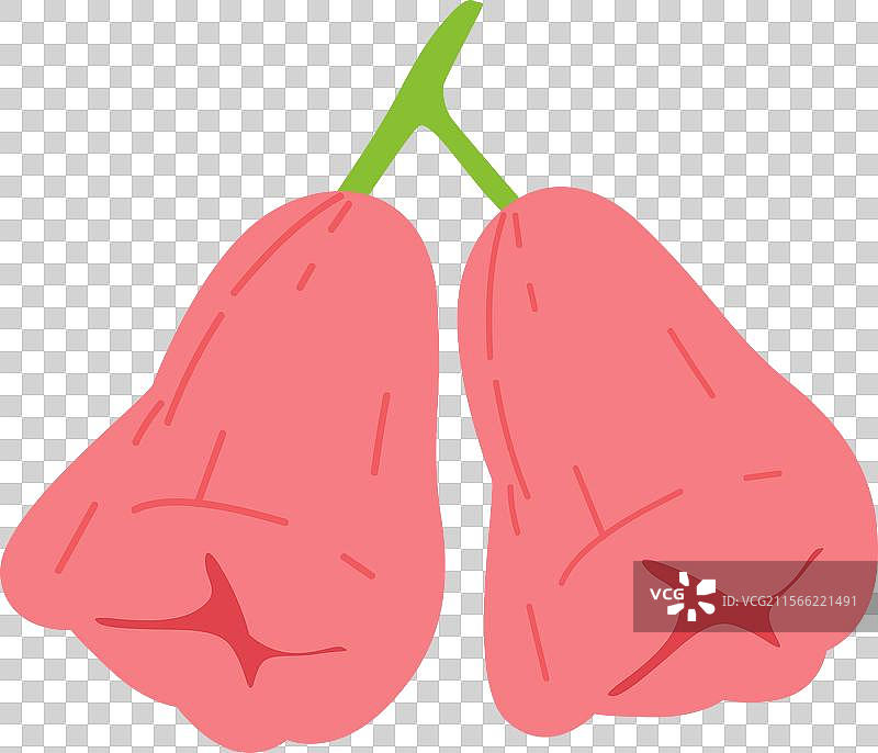 粉色玫瑰苹果水果图像铃铛苹果图片素材