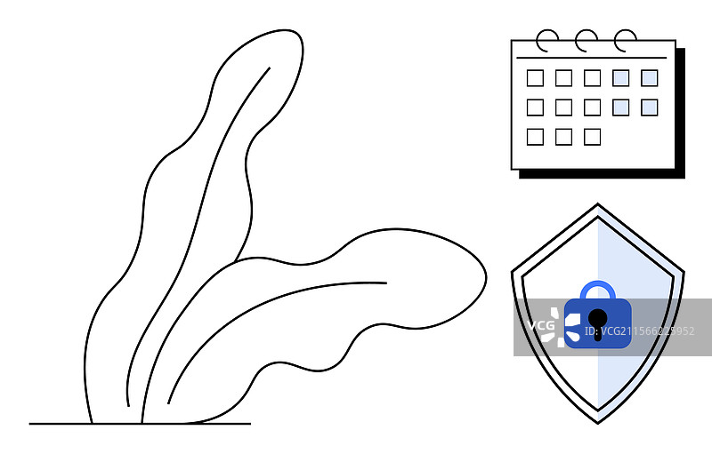安全盾牌日历与抽象植物线条图片素材