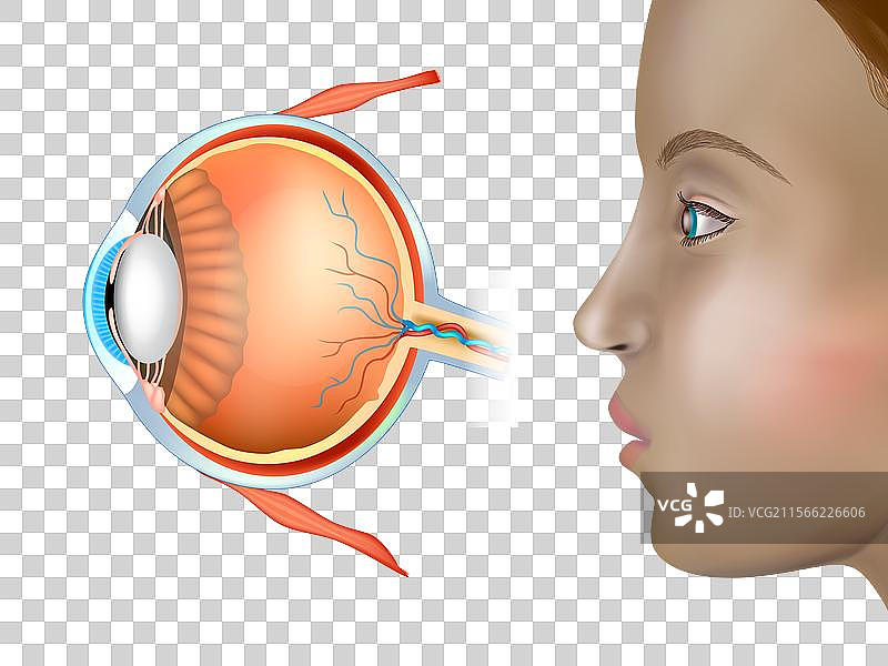 耳鼻喉科医学海报与人眼图片素材