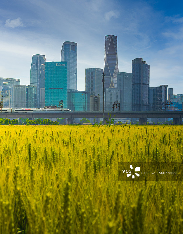 钱江世纪城图片素材