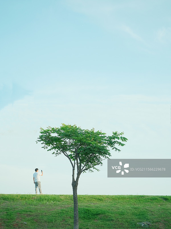 孤独的树自拍图片素材